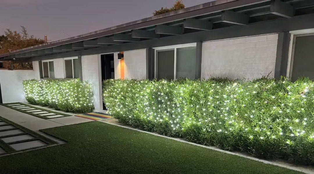 Get this Look: Stunning LED Net Lights Project in Pure White