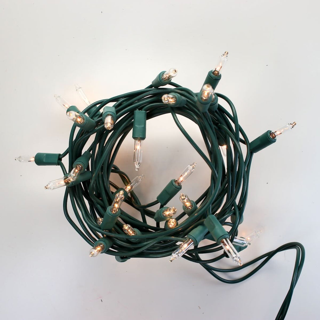Battery-Operated 20 LED String Lights Set - Green/Clear Cord