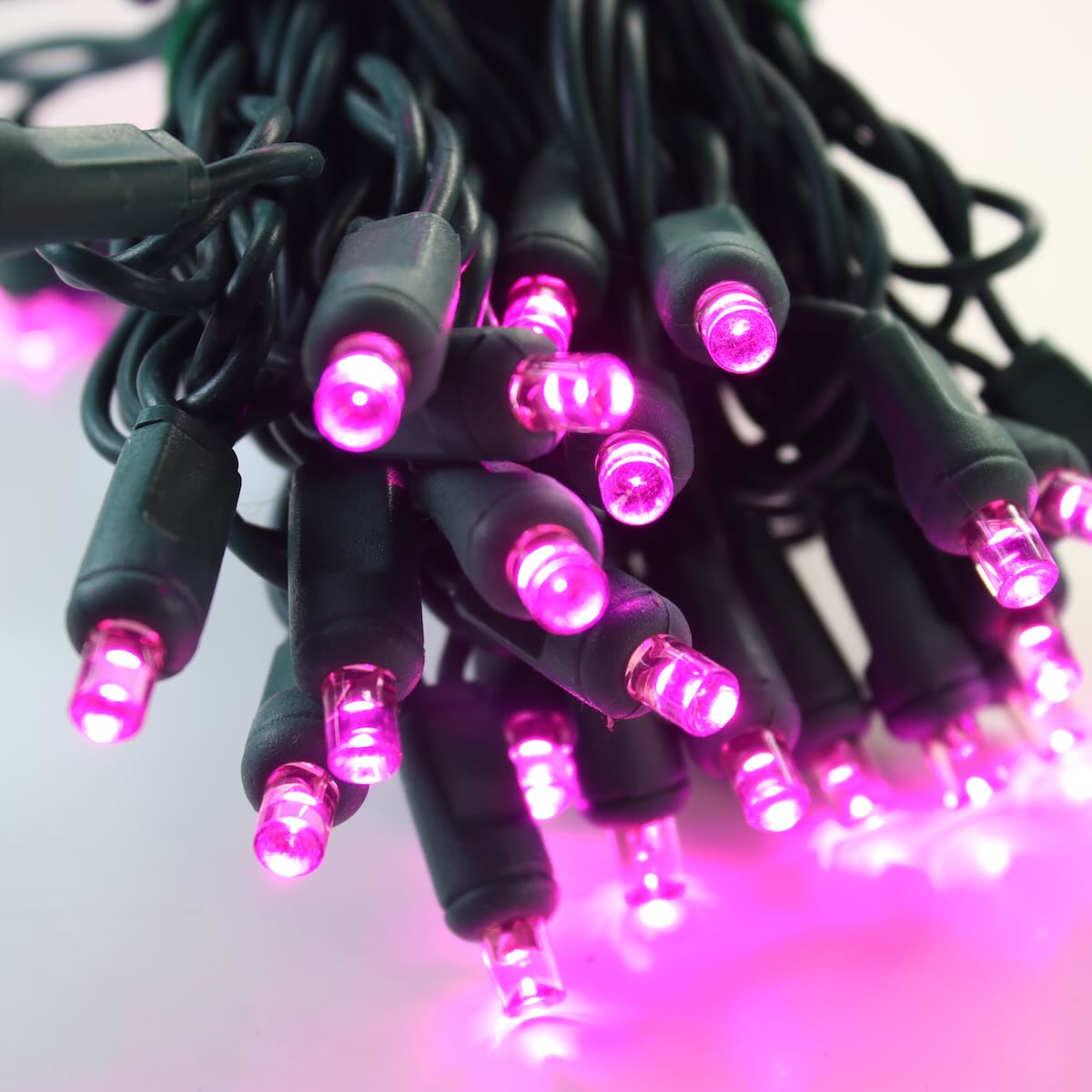 50light 5mm Pink LED Christmas Lights, 4" Spacing Green Wire