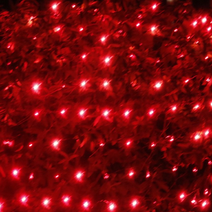 Red christmas lights for shop sale