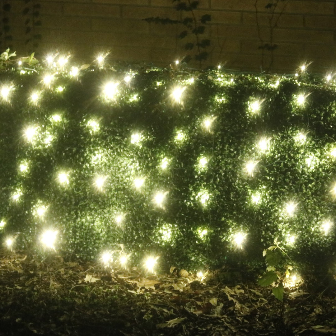 100-light M5 Warm White LED Net Lights, White Wire – Christmas