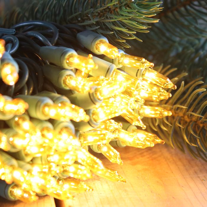 50 bulb Yellow Mini Lights 2.5